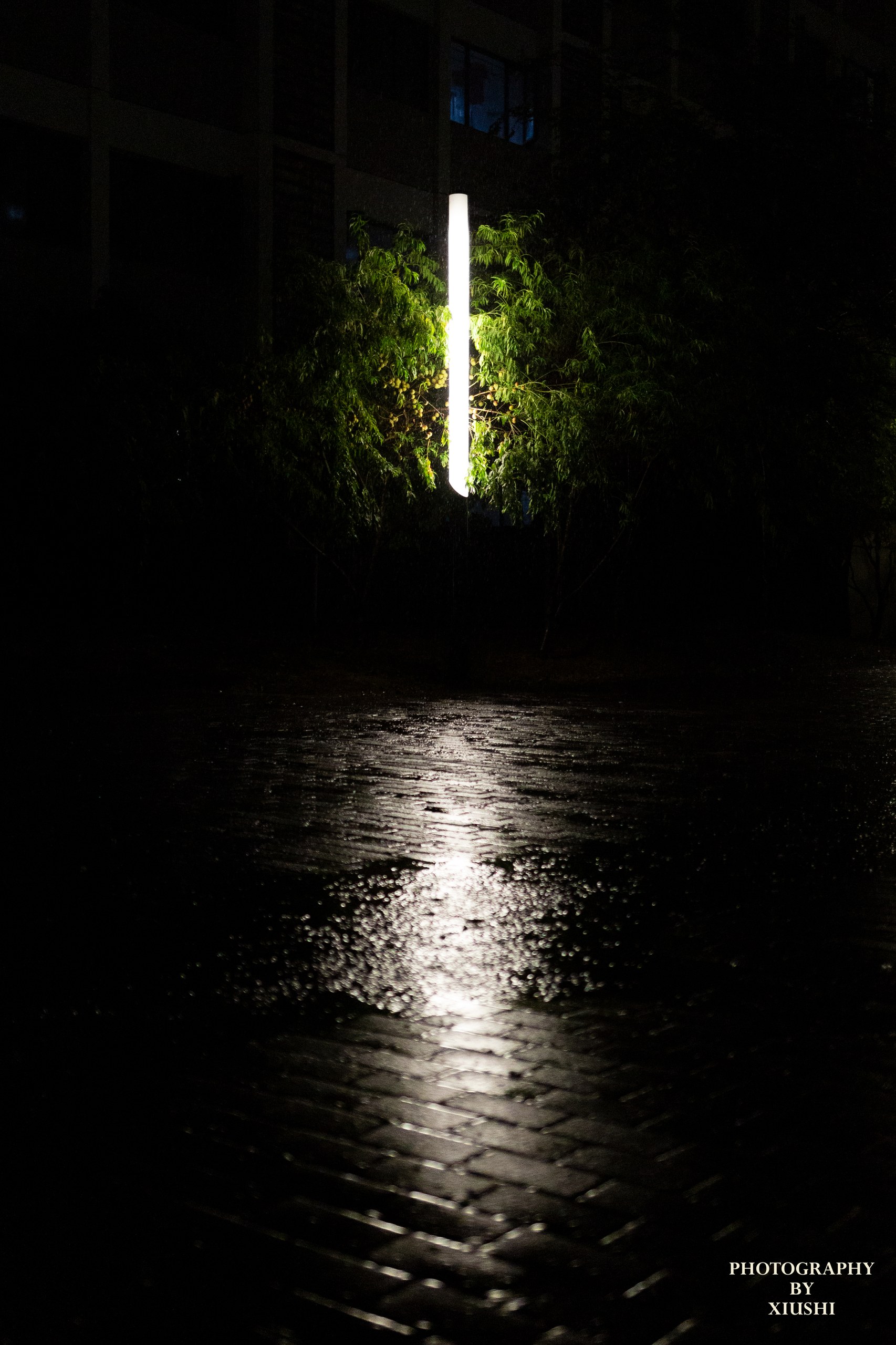 Heavy Rain 1